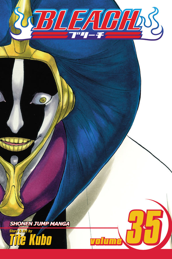 BLEACH Manga Volume 35